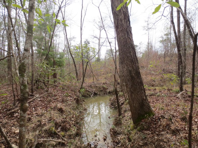 A64CFD98-EA87-4877-A9E3-532256B4D79D