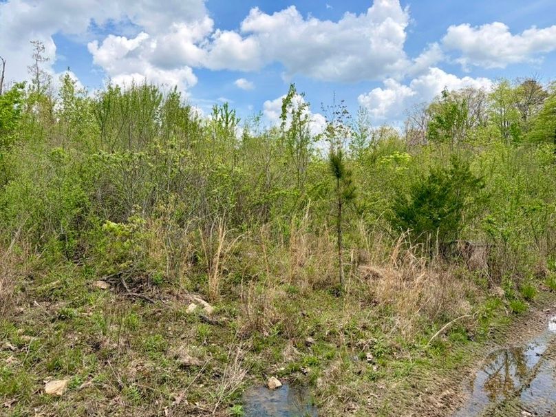 6782424C-E8FF-4C44-B5DA-83E1C50AF963_1_105_c-2