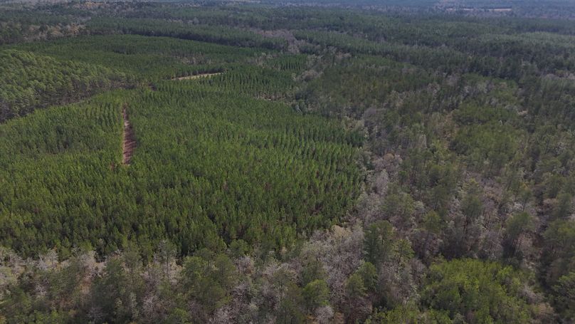 DJI_20231214123200_0005_D