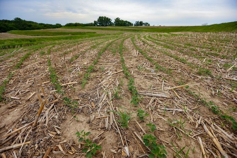 FREMONT CO IA 119.4_16