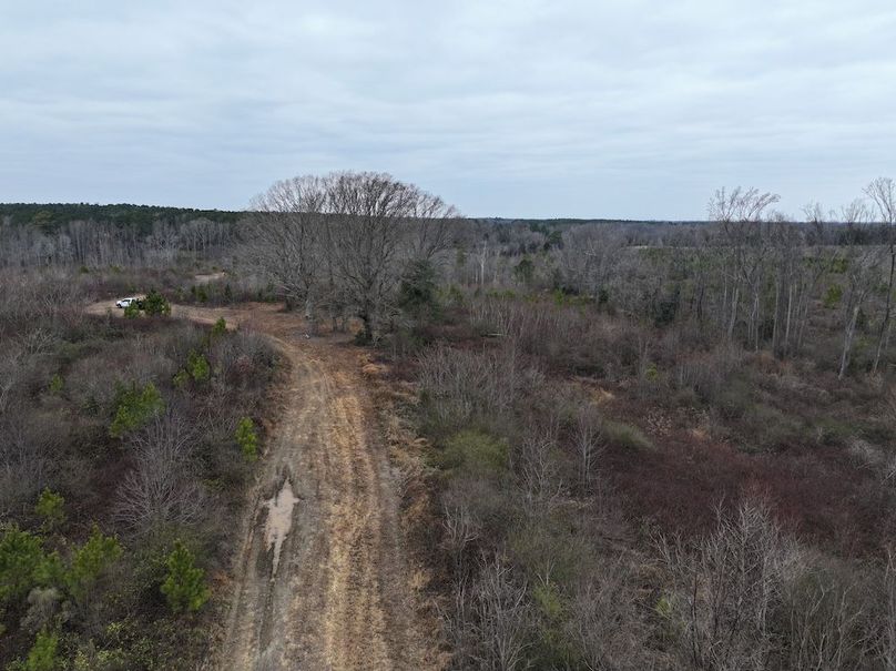 Copy of dji_fly_20251224_114354_0241_1767705649173_photo