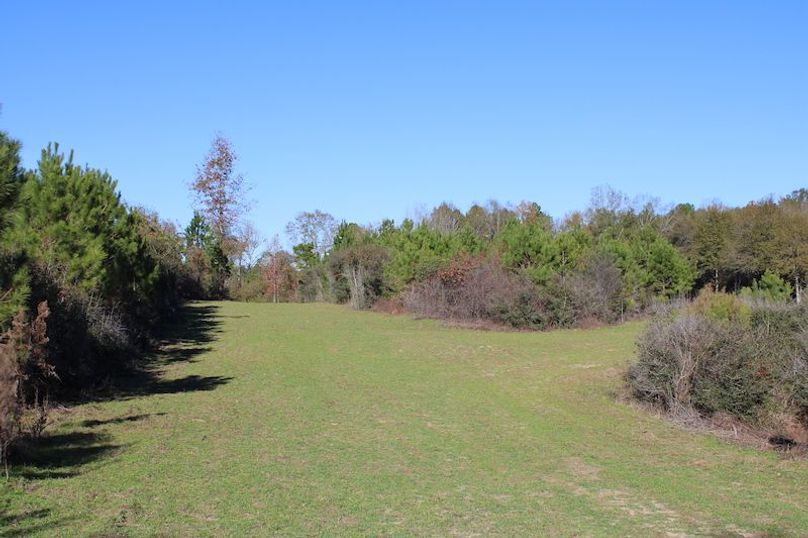 44159677-B2CA-4523-8B4B-0F7BD146FE3A