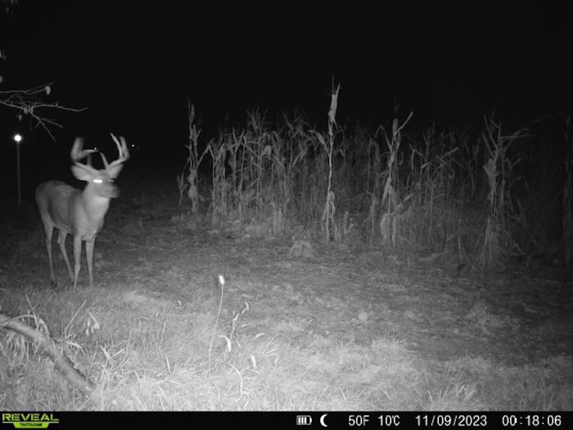 860322064829176-1-4-11092023001806-V-W1007186