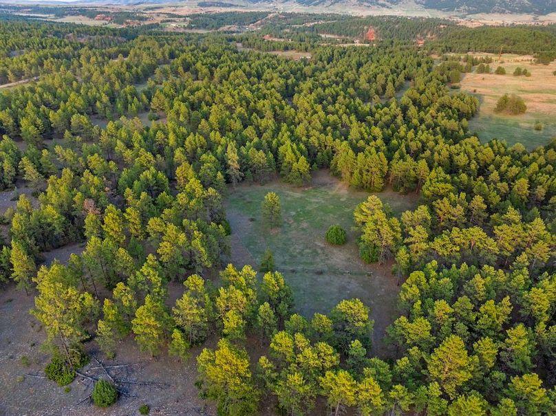 09-DJI_20250507190055_0803_D