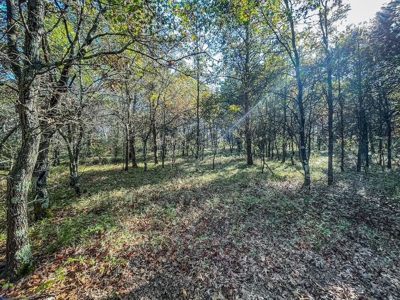 Juneau 27 Wiesner -060