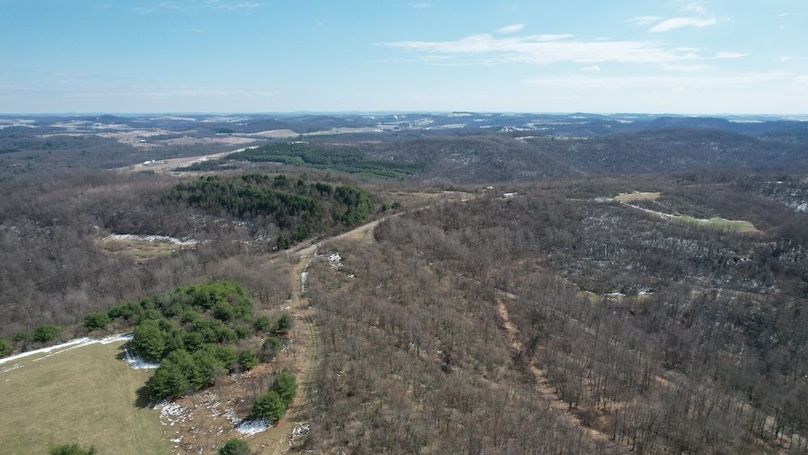 dji_fly_20260319_142754_156_1773945007258_photo