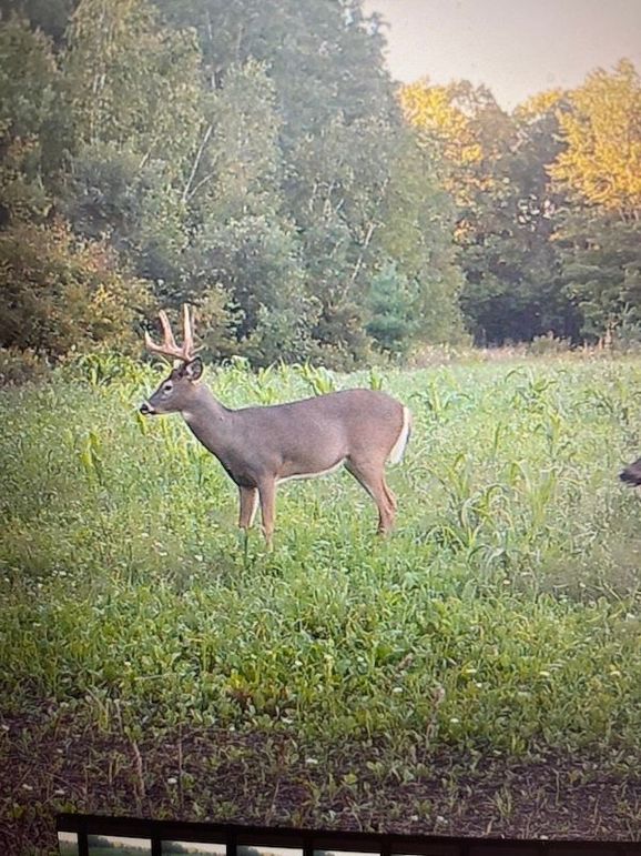 68472252933__894D3590-6F2F-4E7A-821F-B51B954CFEAC