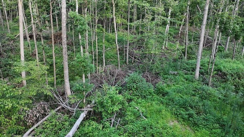 DJI_20250808180226_0775_D