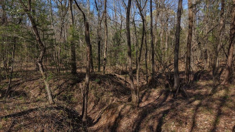 DJI_20260311013623_0051_D