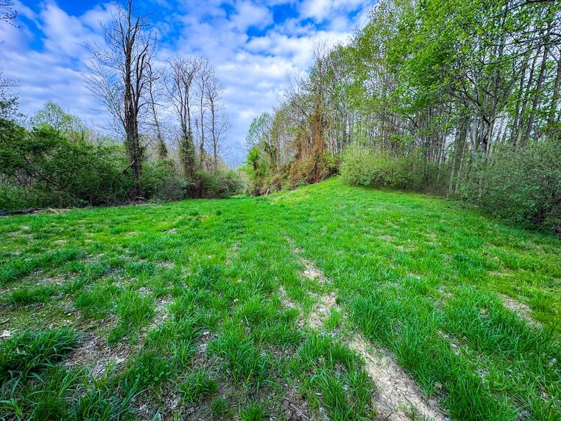 Calhoun, WV 132.84 AC Szegi 2-134