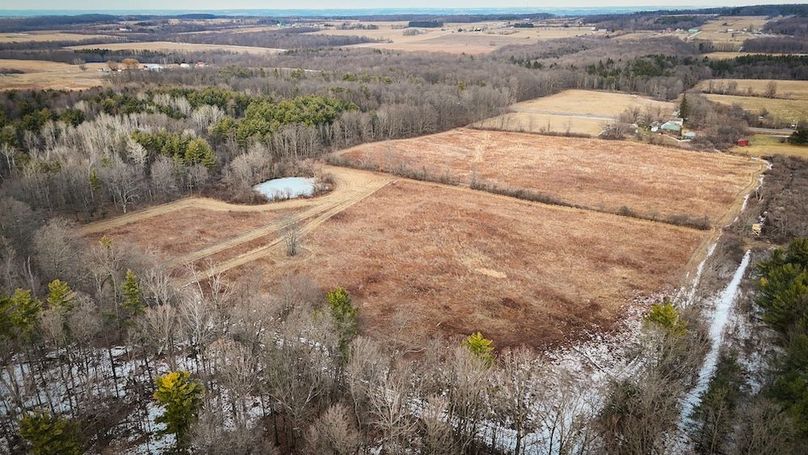 Seneca_24.54_Hohwald_Photos_24