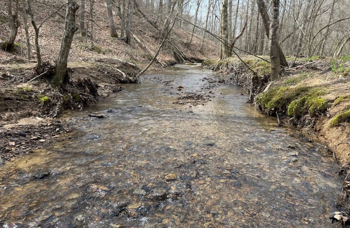 001 Greenbriar Branch flowing west to east through the north part of the property