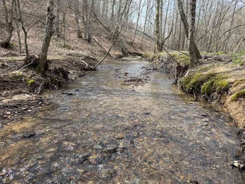 001 Greenbriar Branch flowing west to east through the north part of the property
