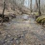 001 Greenbriar Branch flowing west to east through the north part of the property