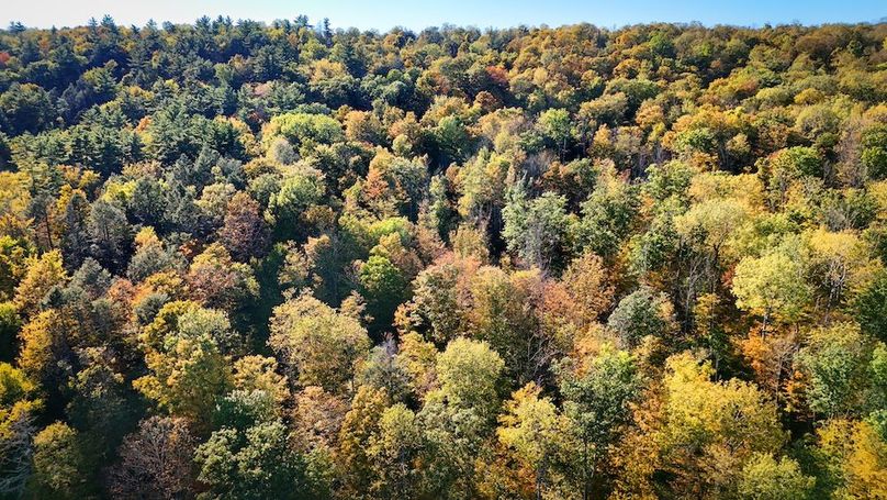 Tompkins NY 87 Allen Photos 33