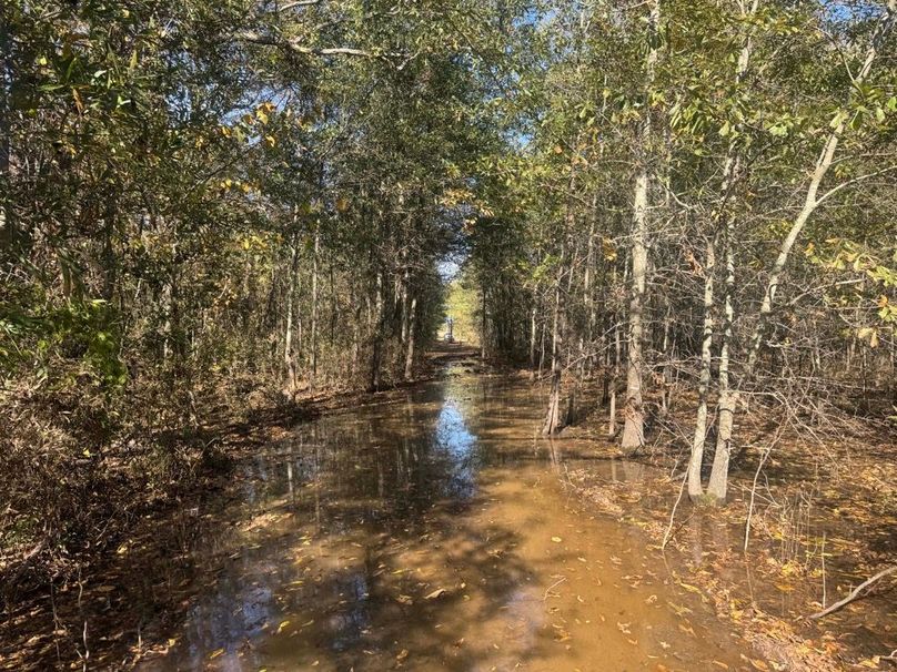 1a1 jeff 8320251111_0253