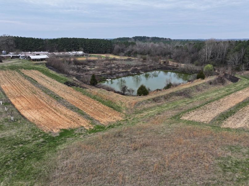 DJI_20240316122306_0031_D