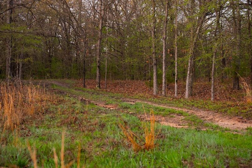 Okfuskee OK 615.38 Pro Photo-66