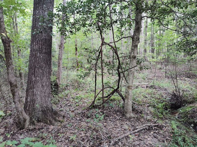 IMG_20250914_153919912