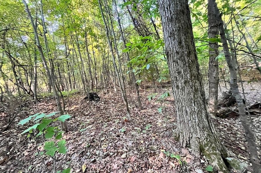 Chemung_20.000_Rouseland_Lot3_Photos_3