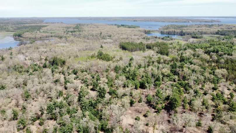 dji_fly_20230511_113750_438_1683838314234_photo_optimized