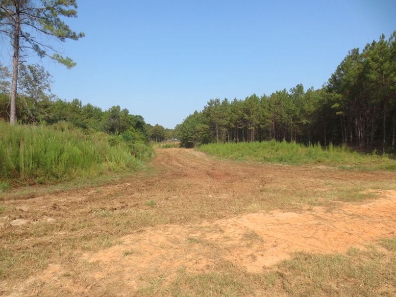 7949164B-B275-4B7C-B729-4CCD626424A9_1_105_c