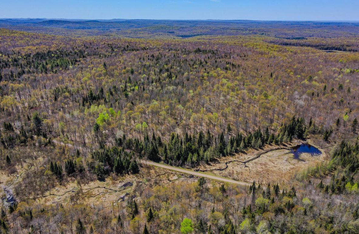 Franklin County NY 103 Bigtooth Properties Drone Picture 2