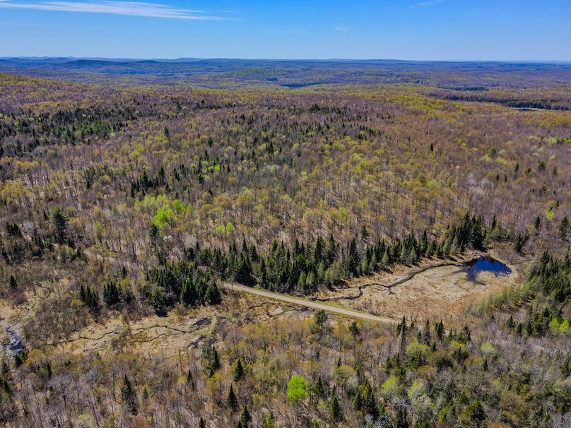 Franklin County NY 103 Bigtooth Properties Drone Picture 2