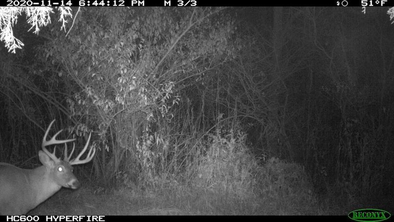 2020-11-14 18-44-12 M 3_3