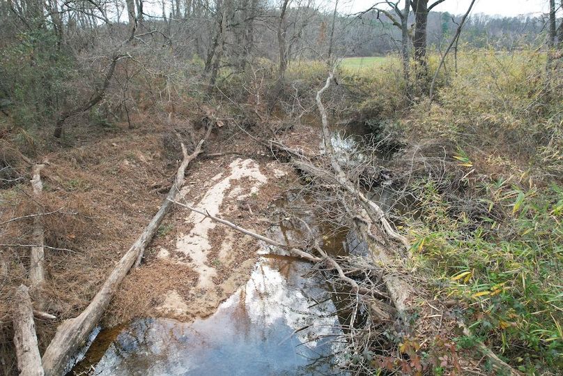 dji_fly_20251120_022212_925_1763686714593_photo