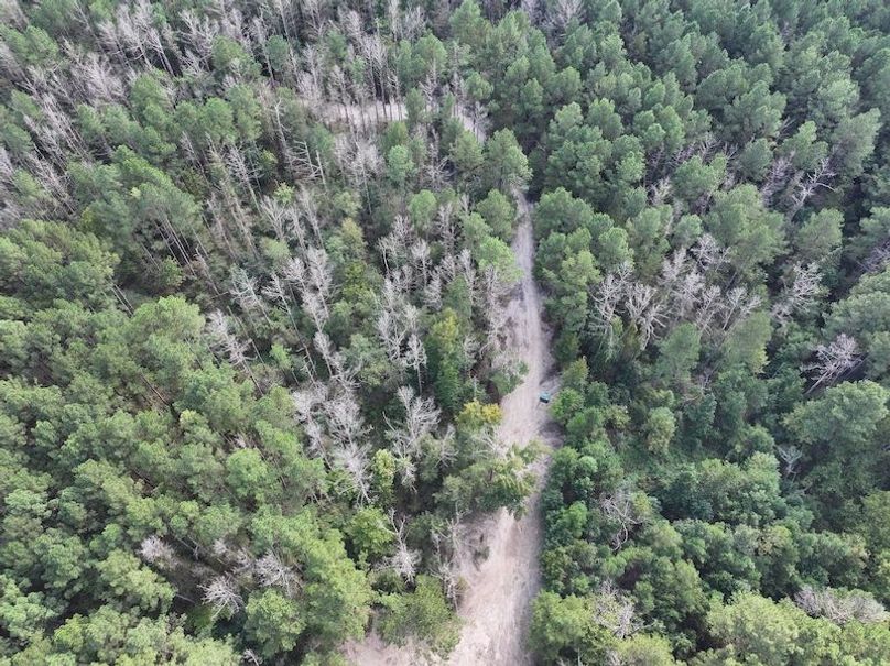 dji_fly_20251001_160408_0651_1759492679070_photo