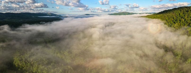 DJI_20250505071940_0017_D