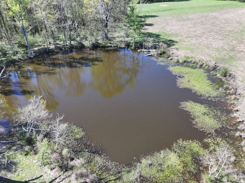 dji_fly_20260317_093836_0408_1773768874191_photo