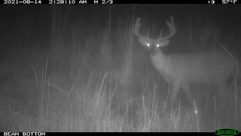 2021-08-14 02-28-10 M 2_3