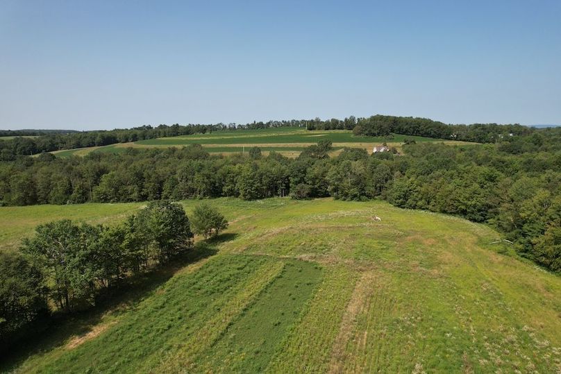 Copy of dji_fly_20250808_105944_145_1754665495583_photo