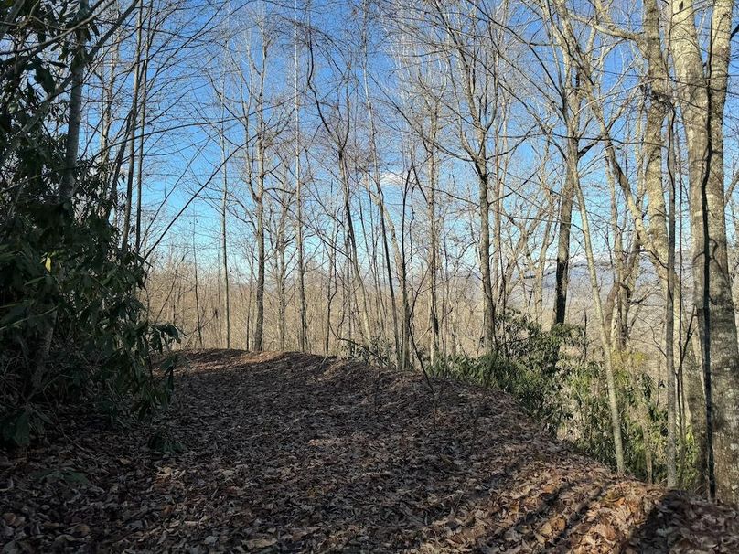 020 Clay 124.76 Fleaback-11