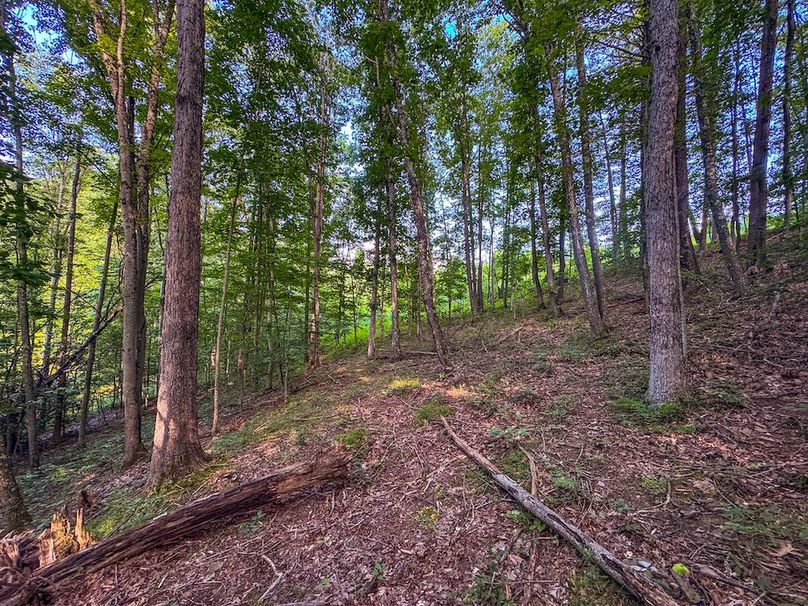 Lewis, WV 82.87 AC Barger-092