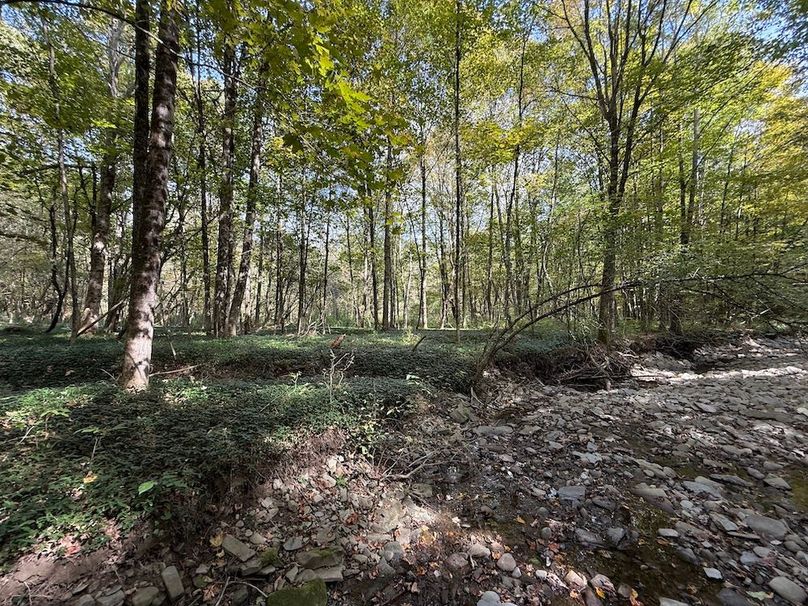 Tioga_30_Flanner Photo 24