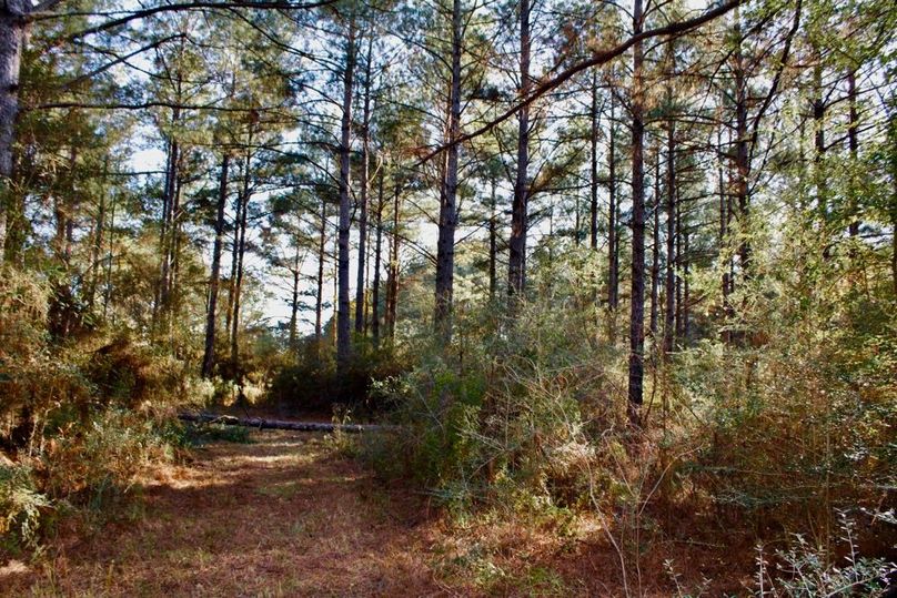 97684CF8-0346-4BB5-996F-15B90D5BDE33_1_201_a-2