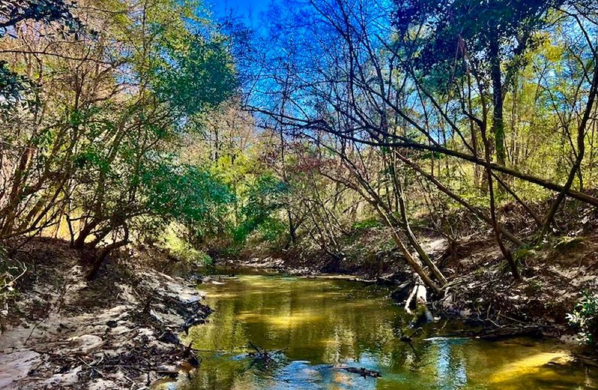 1E953B72-C00F-4459-8F6F-20839C735C2C_1_201_a