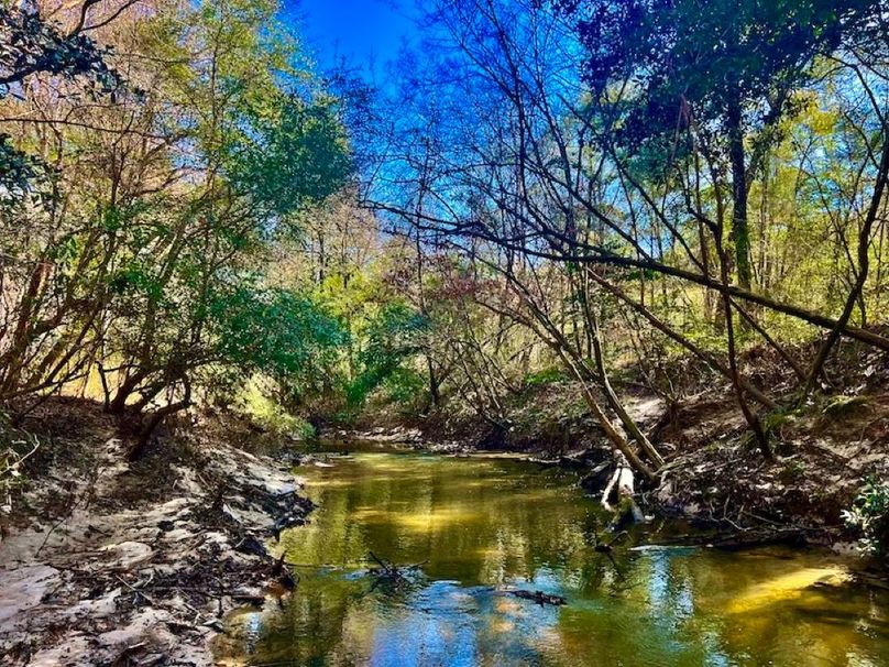 1E953B72-C00F-4459-8F6F-20839C735C2C_1_201_a