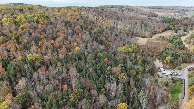 DJI_20251017131644_0733_D