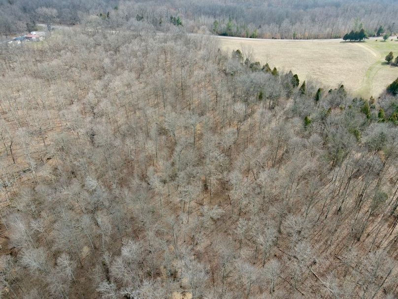 4dji_fly_20240304_113326_475_1709570019126_photo