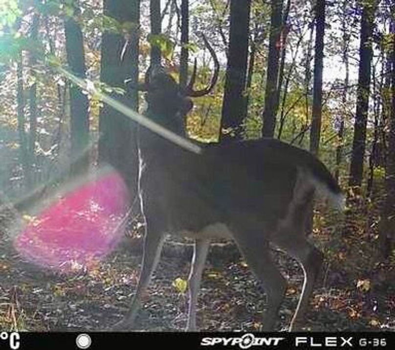 F84F22EF-4754-4BF2-B961-F9FA400ACE04_4_5005_c