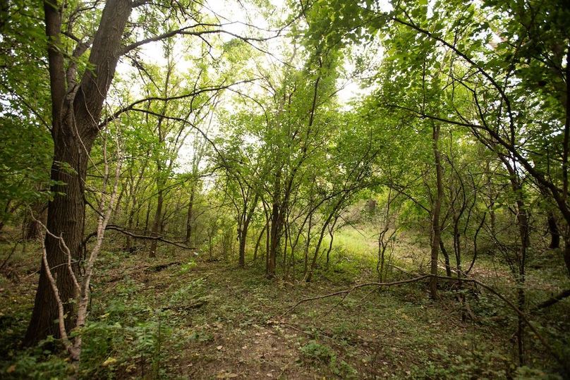  BLACKDOGBEND SOUTH_32