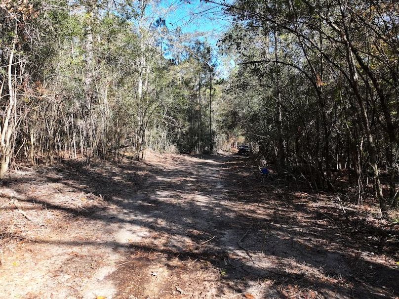 dji_fly_20251209_122336_0772_1765308495792_photo