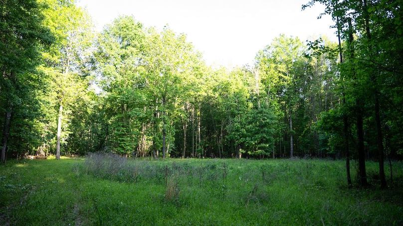 WhiteCoArkansas-71