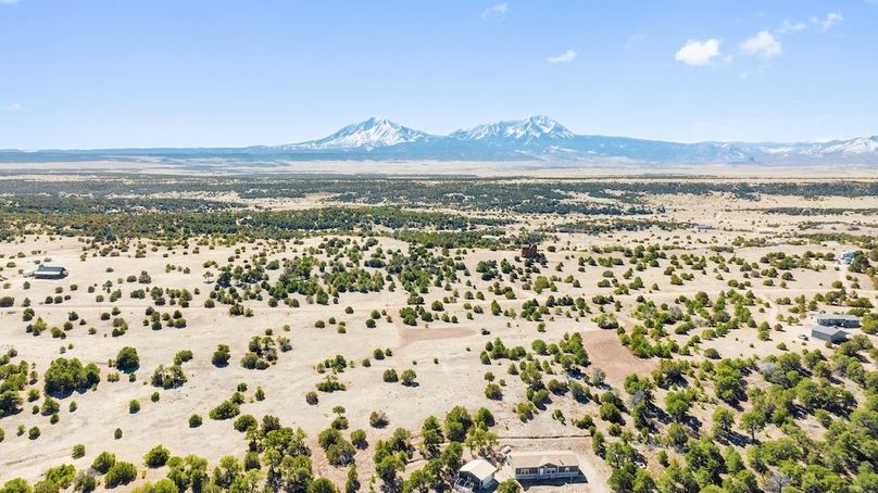 01 - Property View