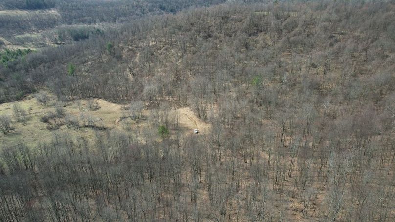 dji_fly_20260330_112548_217_1774884968246_photo