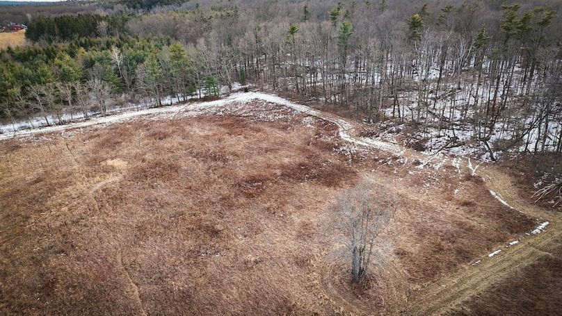 Seneca_24.54_Hohwald_Photos_41